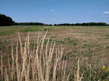 Działka budowlana Nakło Śląskie