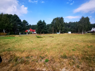 Działka budowlano-rolna Silno