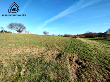 Pusta działka Marysin