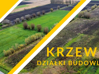 Działka budowlana Krzewsk