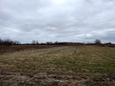 Działka inna Koryta