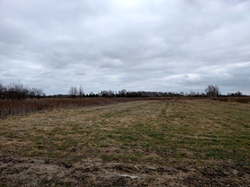 Działka inna Koryta