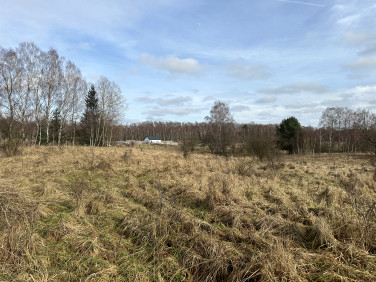 Działka budowlano-rolna Ińsko