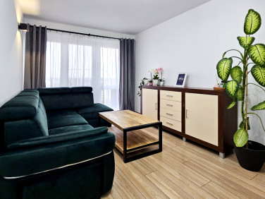 Mieszkanie Stalowa Wola sprzedaż