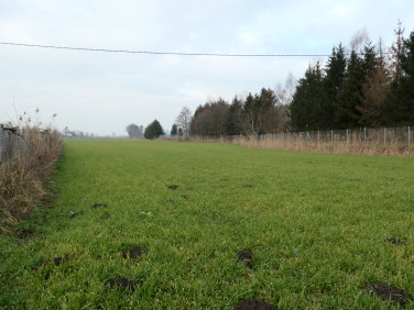 Działka budowlana Kwidzyn