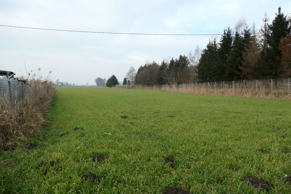 Działka budowlana Kwidzyn