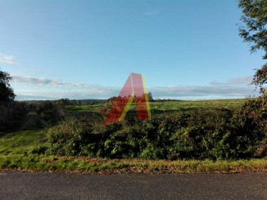 Działka budowlana Bolechowice