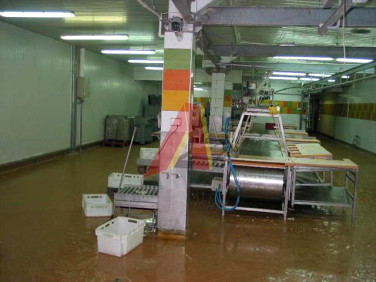 Budynek użytkowy Kraków