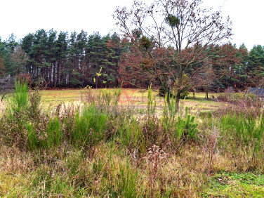 Działka budowlana Gdynia