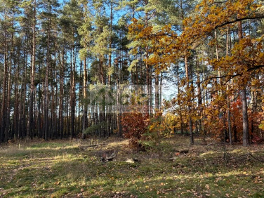 Działka budowlana Marynin