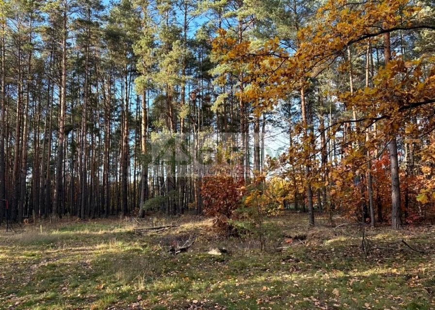 Działka budowlana Marynin