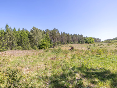 Działka budowlana Tłuczewo