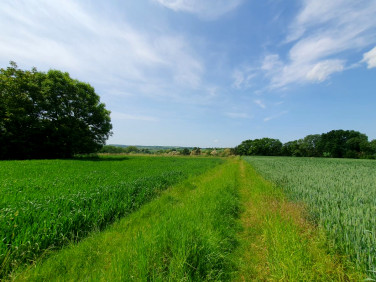 Działka budowlana Szczepanowice