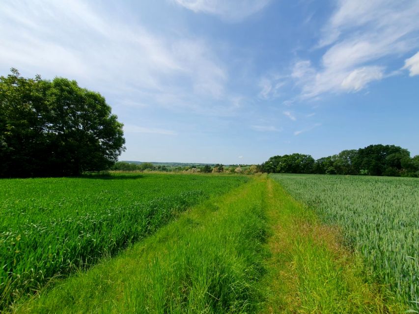 Działka budowlana Szczepanowice