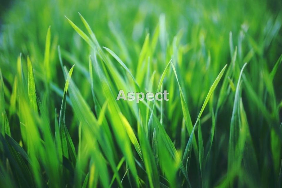 Pusta działka Żory