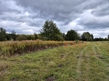 Działka budowlana Kozerki