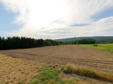 Działka budowlana Baszowice