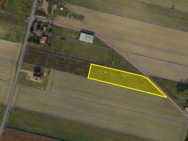 Działka budowlana Goplana