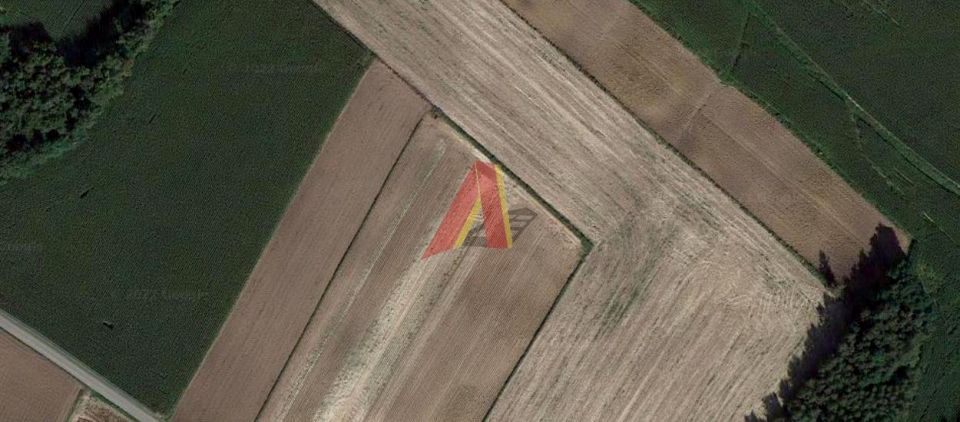 Działka rolna Pałecznica