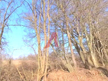 Działka budowlana Lusina