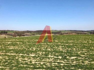 Działka rolna Brzoskwinia