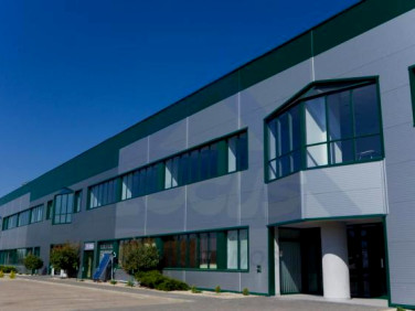 Budynek użytkowy Warszawa