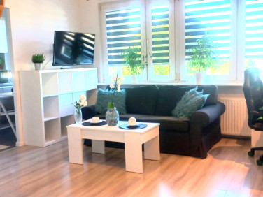 Mieszkanie Łódź wynajem