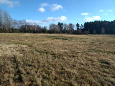 Działka rolno-leśna Koniecpol