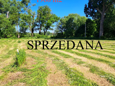 Działka usługowa Koninko