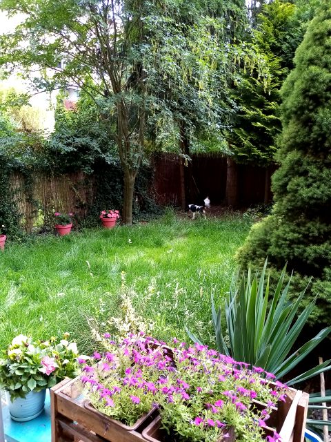 Mieszkanie Katowice sprzedaż