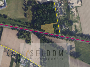 Działka przemysłowa Cienin Zaborny