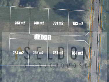 Działka LICHEŃ STARY