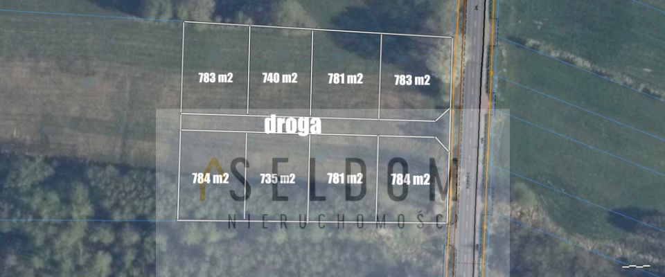 Działka LICHEŃ STARY