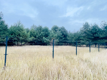 Działka budowlana Prościeniec