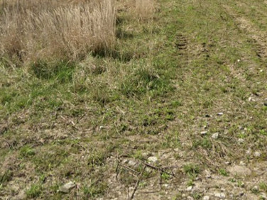 Działka budowlana Rusiec