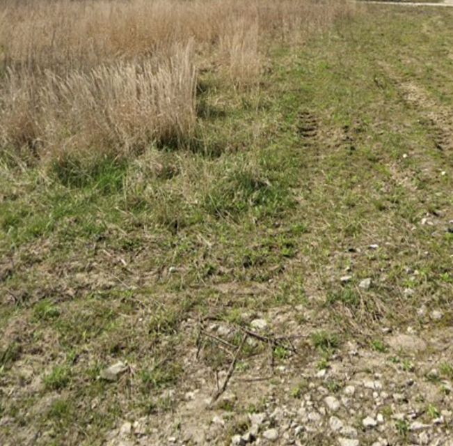 Działka budowlana Rusiec