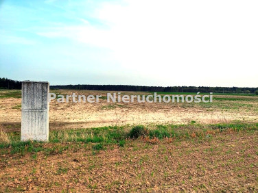 Działka budowlana Toporzysko sprzedam
