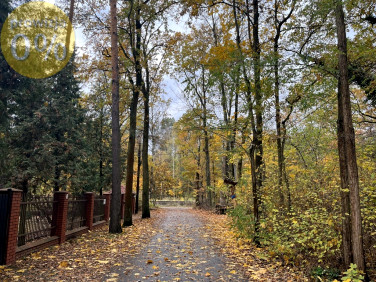 Działka leśna Zalesie Górne