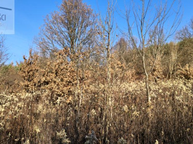Działka budowlana Tropie sprzedam