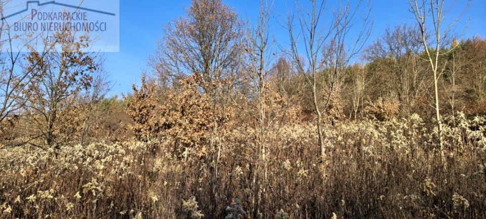 Działka budowlana Tropie sprzedam