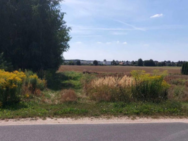 Działka budowlana Dachowa