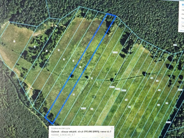 Działka rolna Dylaki