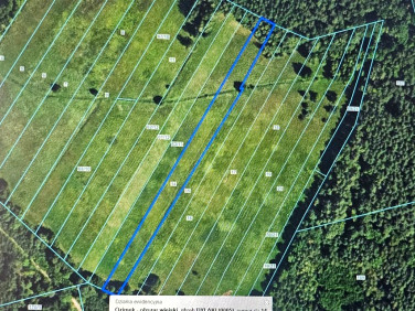 Działka rolna Dylaki