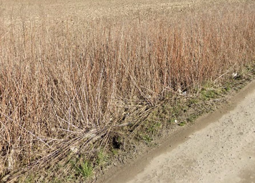 Działka budowlana Łady