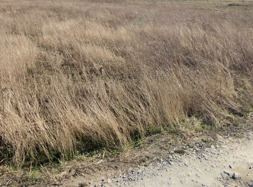 Działka budowlana Falenty Nowe