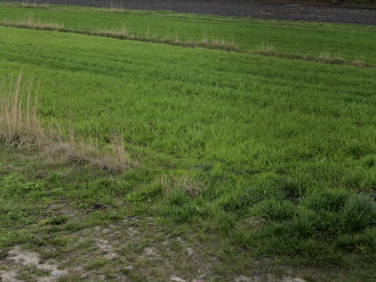 Działka budowlana Laszczki