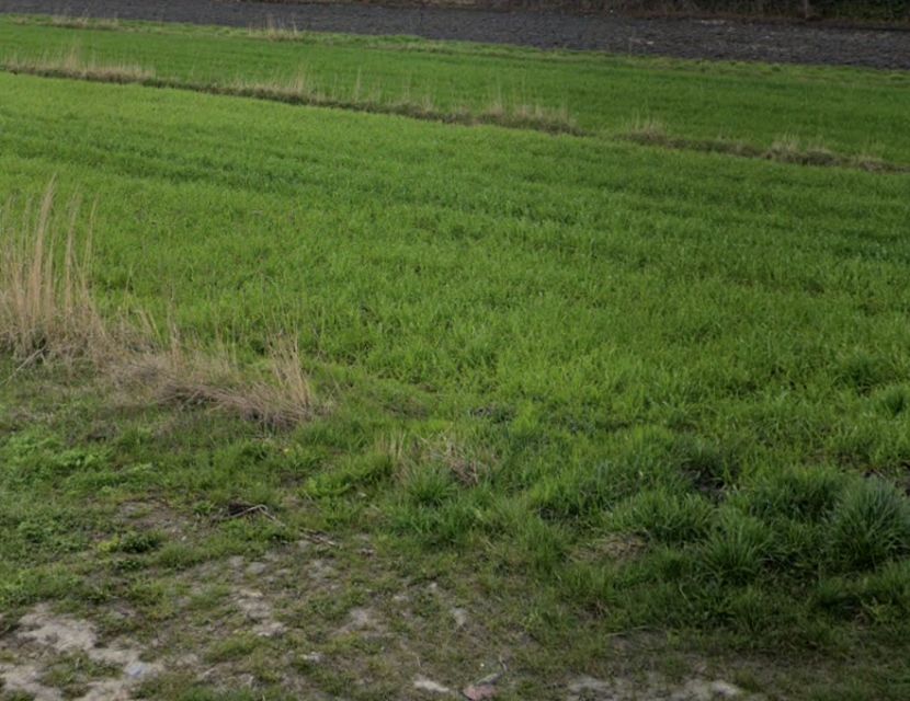 Działka budowlana Laszczki