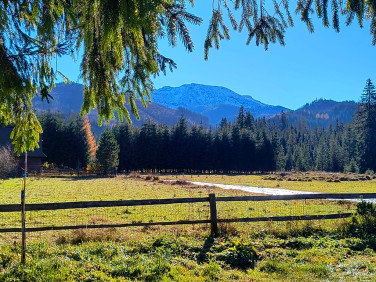 Działka rolna Witów sprzedam