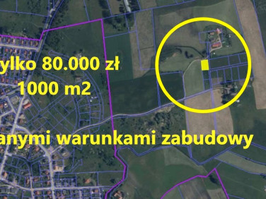 Działka siedliskowa Biskupiec