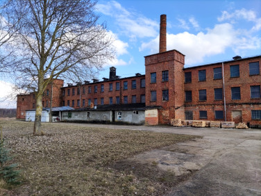 Lokal Parleza Wielka